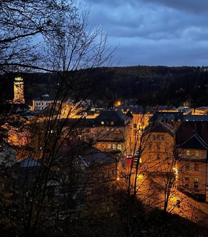Brauhaus Suite 16 Sebnitz Eksteriør bilde